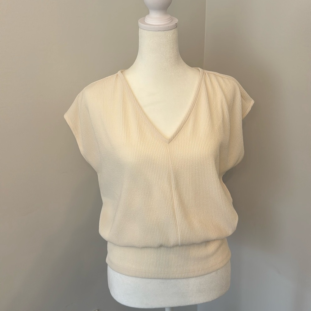 Ann Taylor Sleeveless VNeck Blouse